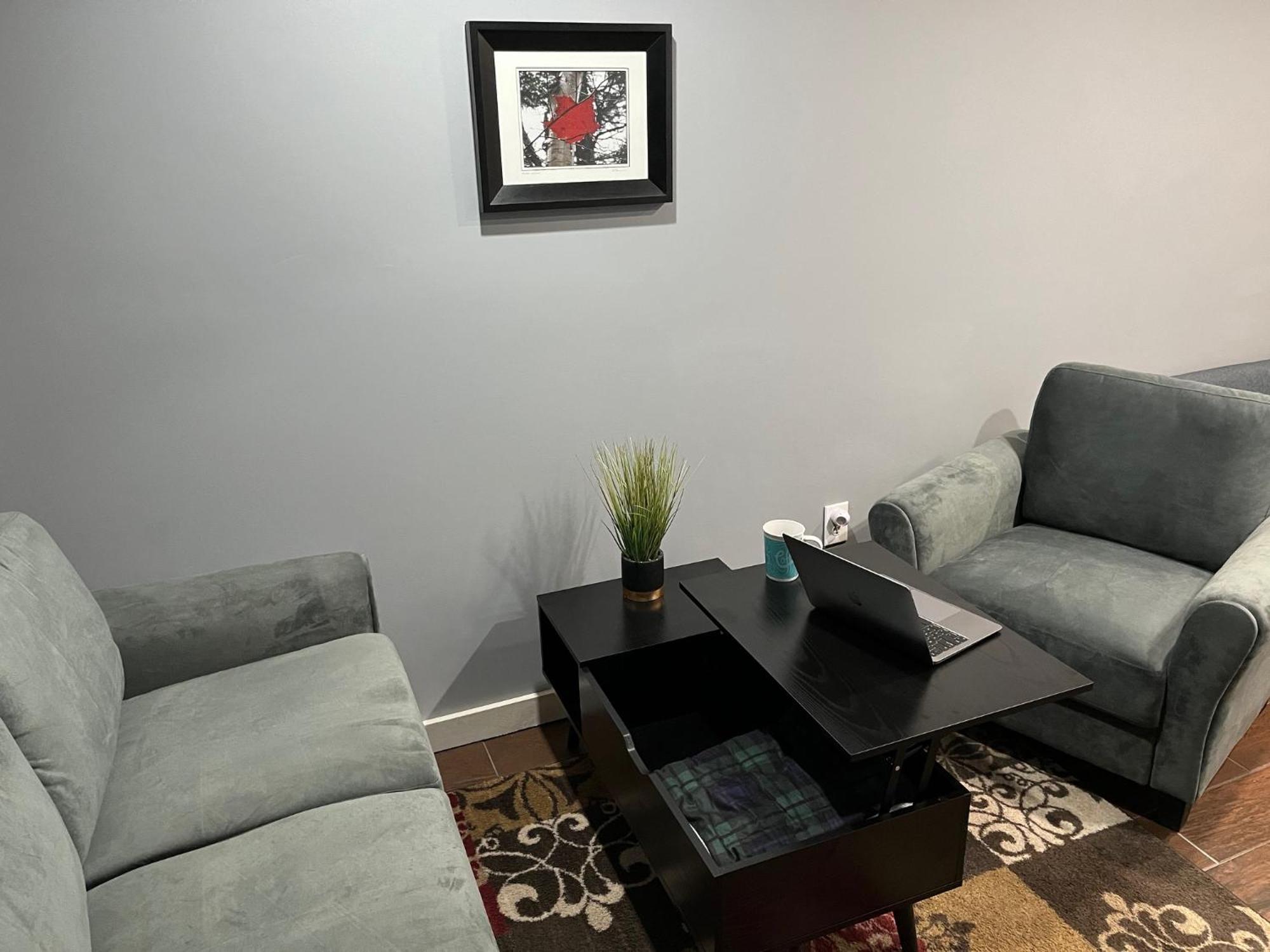 Plush Garden Level Apartment Near Stowe Morristown Exterior foto